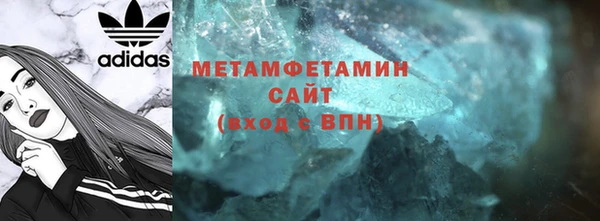 прущие грибы Бородино