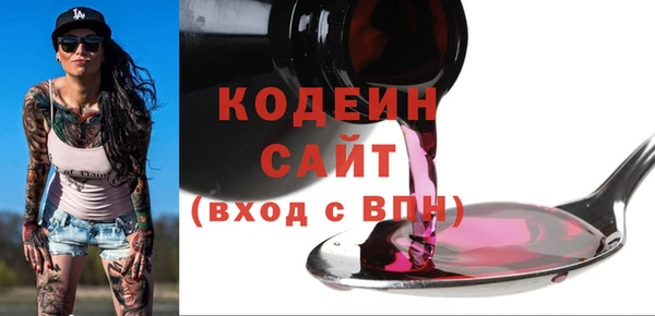 индика Бугульма