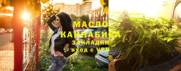 индика Бугульма