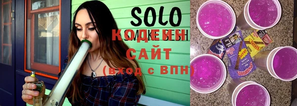индика Бугульма
