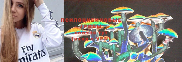 индика Бугульма