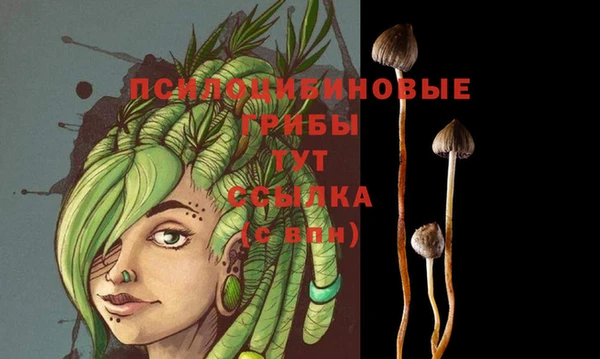 индика Бугульма