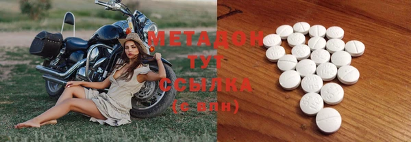 прущие грибы Бородино