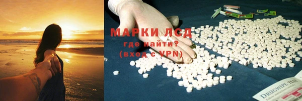 прущие грибы Бородино