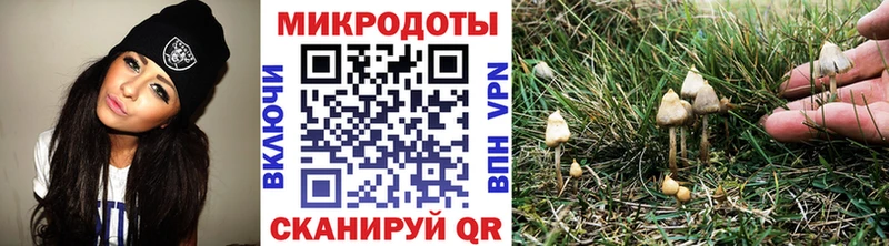 продажа наркотиков  Ессентукская  МЕГА ТОР  Псилоцибиновые грибы GOLDEN TEACHER 