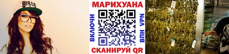 купить наркотики сайты  Ессентукская  Конопля конопля 